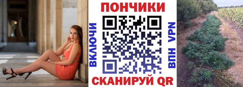 Магазины продажи наркотиков Злынка Бошки Шишки  АМФЕТАМИН  Гашиш  Галлюциногенные грибы  Кокаин  NBOMe  Меф мяу мяу 