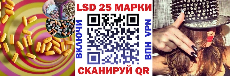 блэк спрут ССЫЛКА  закладка  Злынка  ЛСД экстази кислота 