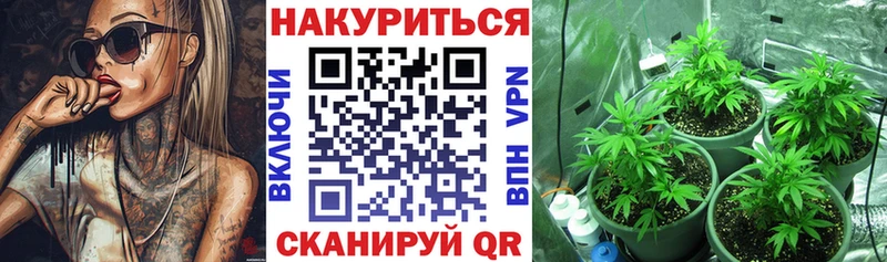 МЕГА онион  Злынка  Конопля план 